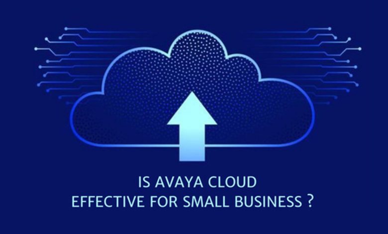 Is Avaya Cloud Effective For Small Business