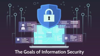 The Goals of Information Security 1